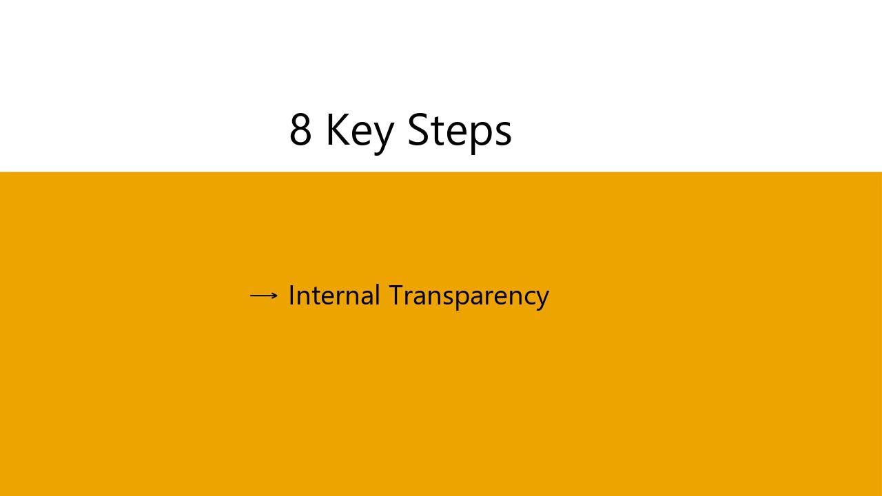 Internal Pay Transparency – Rights, Data & Smart Responses